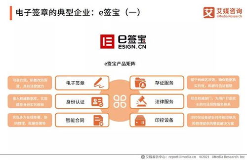 2021年中国企业数字化发展研究报告 网络技术服务的前景与挑战